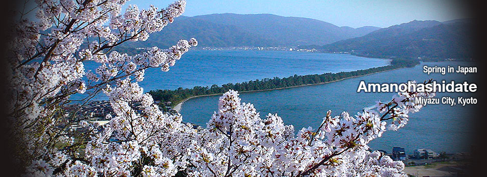 Amazing Tours Review